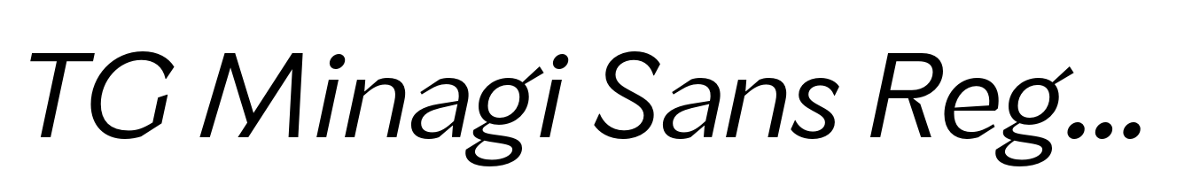 TG Minagi Sans Regular Oblique
